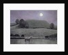 Horse in Moonlight, 2005 by Ann Brain