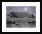 Horse in Moonlight, 2005 by Ann Brain