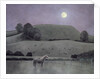 Horse in Moonlight, 2005 by Ann Brain