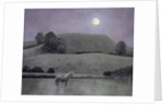 Horse in Moonlight, 2005 by Ann Brain