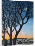 Trees and Moon, 2015 by Ann Brain
