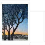 Trees and Moon, 2015 by Ann Brain