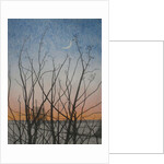 From my Window, 2011 by Ann Brain