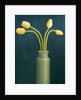 Four Yellow Tulips, 1982 by Ann Brain