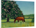 Horse Chestnut, 2001 by Ann Brain
