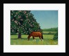 Horse Chestnut, 2001 by Ann Brain