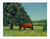 Horse Chestnut, 2001 by Ann Brain