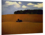 Ploughed Field, 1990 by Ann Brain