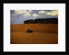 Ploughed Field, 1990 by Ann Brain