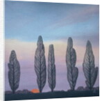 Poplars, 2003 by Ann Brain