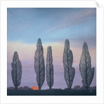 Poplars, 2003 by Ann Brain