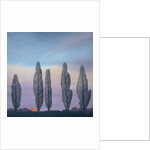 Poplars, 2003 by Ann Brain