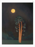 Stamford Pines, 2005 by Ann Brain