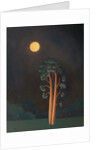 Stamford Pines, 2005 by Ann Brain