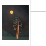 Stamford Pines, 2005 by Ann Brain