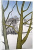 Winters Day, 2013 by Ann Brain