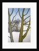 Winters Day, 2013 by Ann Brain