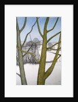Winters Day, 2013 by Ann Brain