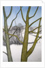Winters Day, 2013 by Ann Brain