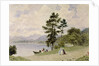 Windermere, from Low Wood by Frederick Nash