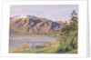 Coniston by Joseph Arthur Palliser Severn