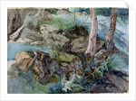 Study of rocks and ferns in a wood at Crossmount, Perthshire, 1843 by John Ruskin