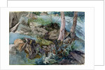 Study of rocks and ferns in a wood at Crossmount, Perthshire, 1843 by John Ruskin