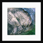 Rocks and vegetation at Chamouni, 1854 by John Ruskin