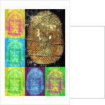 Roots & Thorns, 2014 by Francois Domain