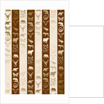 Zoo, 2015 by Francois Domain