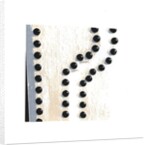 White, 2015 by Francois Domain