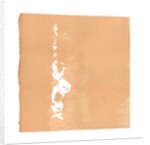 Whirling Dervish, 2015 by Francois Domain