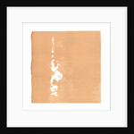 Whirling Dervish, 2015 by Francois Domain