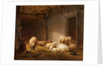 A Sunlit Barn with Ewes, Lambs and Chickens by Eugene Joseph Verboeckhoven