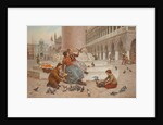 Pigeons of Venice by Antonio Paoletti