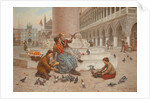 Pigeons of Venice by Antonio Paoletti