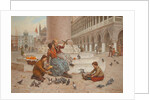 Pigeons of Venice by Antonio Paoletti