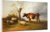 View in Stour Valley with Cow by Thomas Sidney Cooper