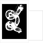 Worm, 2014 by Pat Macdonald