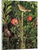 Wall painting of a bird in a garden, Pompeii, 1st century AD by Anonymous