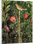 Wall painting of a bird in a garden, Pompeii, 1st century AD by Anonymous