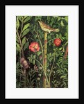 Wall painting of a bird in a garden, Pompeii, 1st century AD by Anonymous