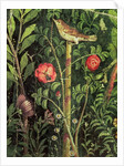 Wall painting of a bird in a garden, Pompeii, 1st century AD by Anonymous