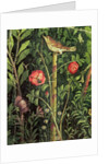 Wall painting of a bird in a garden, Pompeii, 1st century AD by Anonymous