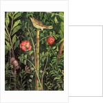 Wall painting of a bird in a garden, Pompeii, 1st century AD by Anonymous