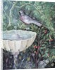 Wall painting of a dove in a garden by a fountain, House of the Golden Bracelet, Pompeii, 1st century AD by Anonymous