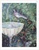 Wall painting of a dove in a garden by a fountain, House of the Golden Bracelet, Pompeii, 1st century AD by Anonymous