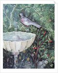 Wall painting of a dove in a garden by a fountain, House of the Golden Bracelet, Pompeii, 1st century AD by Anonymous