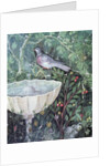 Wall painting of a dove in a garden by a fountain, House of the Golden Bracelet, Pompeii, 1st century AD by Anonymous