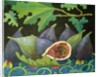Figs on black, 2014 by Jennifer Abbott